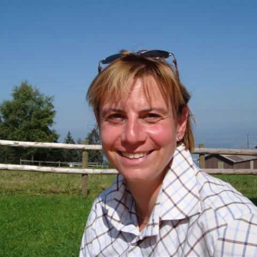 Profile picture for user Carol Wiedmer